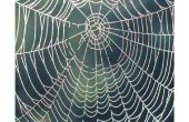 Hoe maak je een realistische spinnenweb