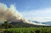 Hoe snel kan bosbranden verspreiden?