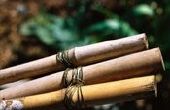 Hoe maak je een bamboe Trellis