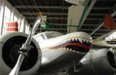 How to Paint een Curtiss P-40 Shark mond
