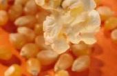 Projecten van de wetenschap op hoe Popcorn knalt