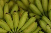 Bananen & spiergroei