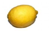 Over de lever zuiveringen met citroen