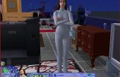 Hoe word ik een sekteleider in The Sims 2