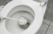 Toilet Cleaners die veilig zijn voor septische systemen