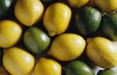 Hoe te bakken een kip met behulp van SAP van citrusvruchten