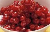 Desserts die gebruik van Ingeblikte hele Cranberry