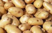 Wat Is een aardappel-Galette?