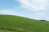Wat Is goed voor snijden gras op een steile helling?