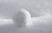 Voordelen & nadelen van Snowball bemonstering