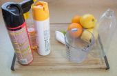 How to Make vlo & Tick Repellent met citroensap