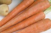 Hoe te dehydrateren gesneden wortelen