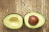 How to Grow avocado's uit stenen