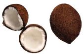 Kokosolie mond behandeling