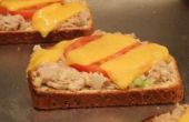 Hoe maak je een tonijn smelten van Sandwich