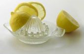 Hoe maak je Lemon geïnfundeerd Vodka