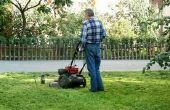 Het gebruik van een brandstofsysteem reiniger voor grasmaaiers