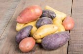 How to Plant Fingerling aardappelen