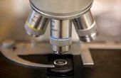 Wat voor soort Lens wordt gebruikt voor een Microscoop?