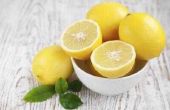 Hoe de zorg voor een citroen knop Fern (Nephrolepis Cordifolia)