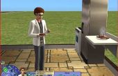 Hoe geef je Sim de gegrilde kaas aspiratie in The Sims 2