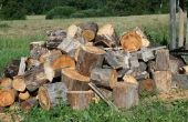 Hoe te identificeren van een soort brandhout