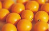 Hoe droog hele sinaasappelen voor ambachten