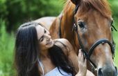 Oefeningen voor paarden met Hip of verstikken letsel