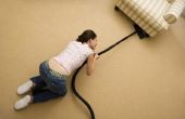 How to Kill Bed Bugs in gestoffeerd meubilair