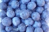 How to Make Blueberry inkt