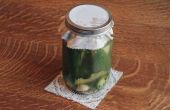 How to Make Extra krokant koosjer Dille Pickles