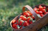 How to Make Strawberry Trifle Dessert - gemakkelijk en vrij