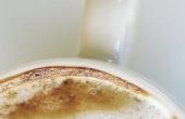 Stomen van melk voor een Cappuccino zoals Italianen
