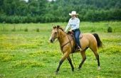 Hoe om te trainen van een paard als een Pacer