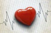 Lijst van Jobs & carrières waarbij het cardiovasculaire systeem