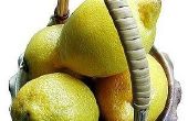 Over citroen azijn reinigen