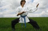 Hoe word ik een Martial Arts Teacher