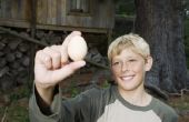Hoe een tiener discipline voor Egging