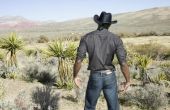 Wat zijn de voordelen van een Cowboy?