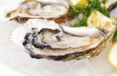 Ziekte veroorzaakt door het eten van oesters