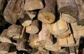How to Make pijlpunten uit hout