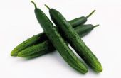 Hoe te identificeren van de soorten komkommers