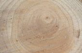 Lijst van hout snijgereedschappen