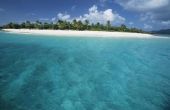 Wat is het verschil tussen een gematigde & tropische oceaan?
