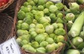 Hoe voor te bereiden Tomatillos