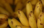 Problemen met het bevriezen van bananen