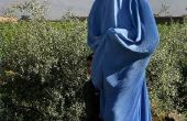 Geschiedenis van de Burka