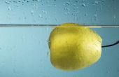 Hoe te bevriezen van peren zonder suiker
