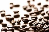 Belangrijkste succesfactoren voor de koffie Business