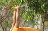 Welke spieren gebruik je in de zittende Yoga Mudra Pose?